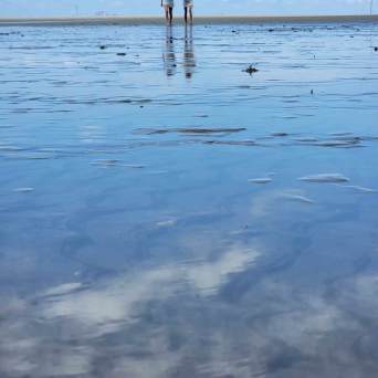 a large body of water