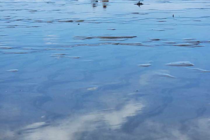 a large body of water