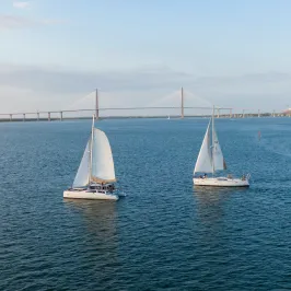 Sailboats on water with a large bridge in the background.