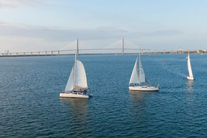Sailboats on water with a large bridge in the background.